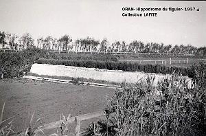 ORAN 1937 HYPPODROME DU FIGIER    (21)